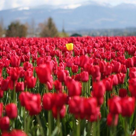 Red Tulip Hotel 앙헬레스 외부 사진